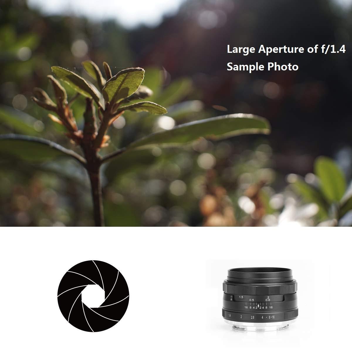 Meike MEIKE 35mm F/1.4 Manual Focus Large Aperture Lens Compatible with Sony APS-C Mirrorless Camera Such as A6000 A6300 A6500