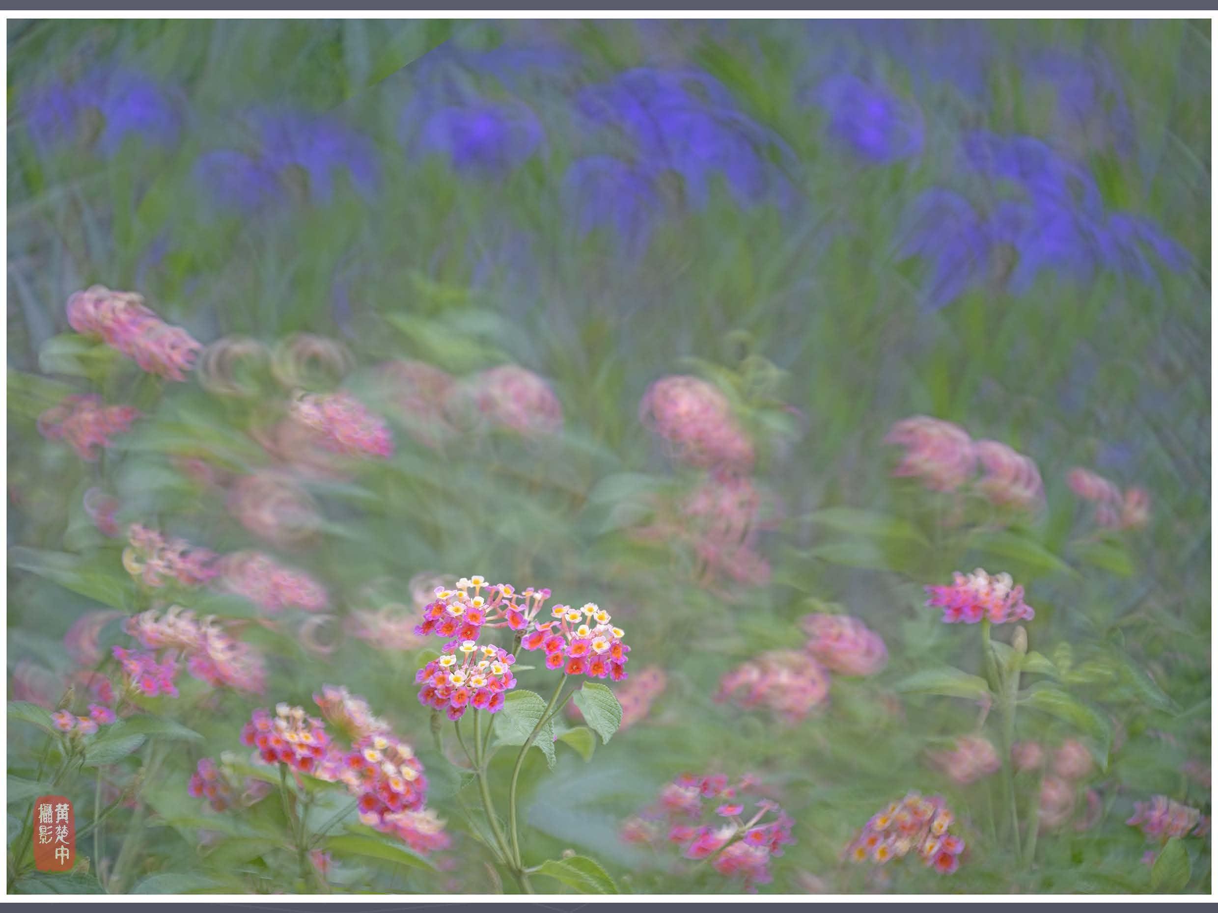 Kase Kase 200mm F5.6 MC Reflex Mirror Aluminum Portrait Lens Compatible with Nikon Z