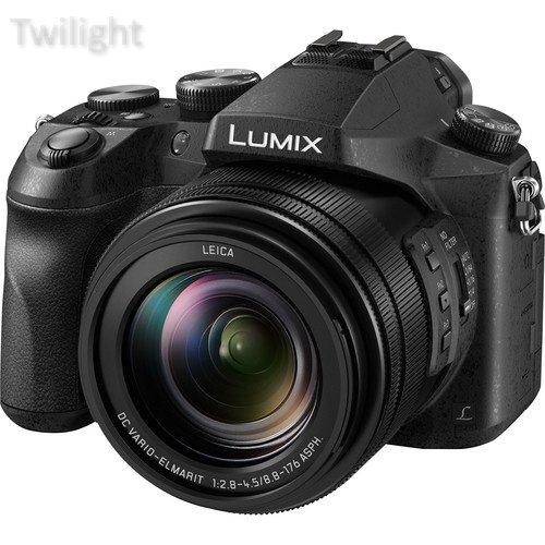 Panasonic Panasonic Lumix DMC-FZ2500 Digital Camera [Electronics]