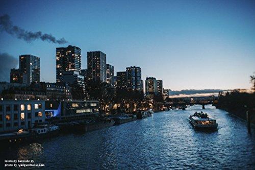 Lensbaby Lensbaby Burnside 35mm f/2.8 Lens for Nikon F