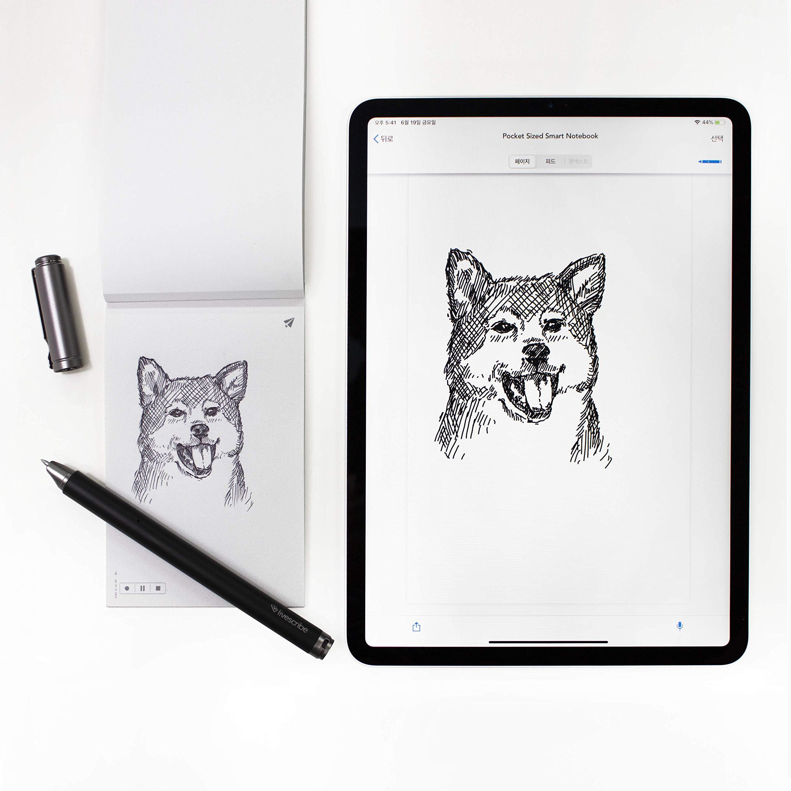 Livescribe Livescribe Symphony Smartpen Digital Pen – Compatible with iOS, Android, Smartphones, Tablets (Latest Version), Black