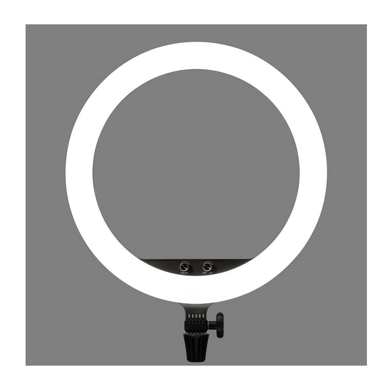 GODOX Godox LR150 18\'\' LED Ring Light (Bi-Color)