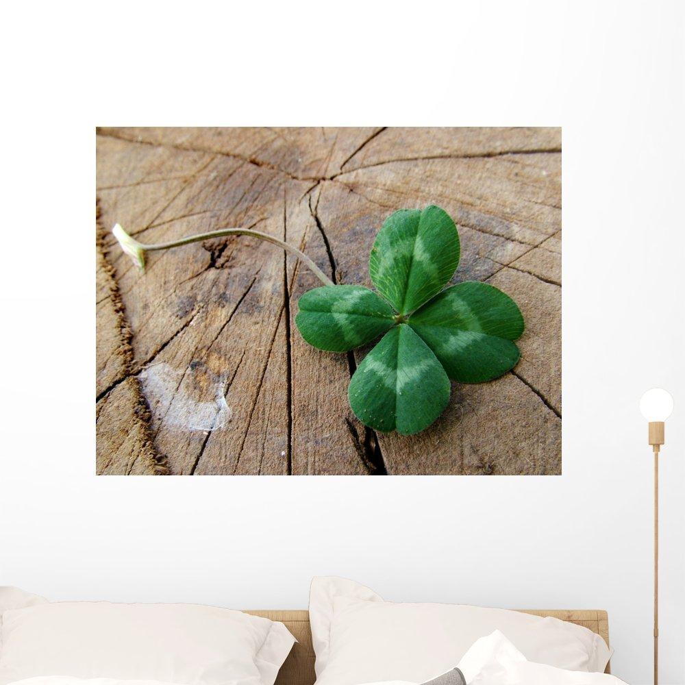 Mount-It! Mount-It! TV Wall Mount Landscape to Portrait Rotation, Fixed Mounting Bracket, Low-Profile for Samsung, Sony, Toshiba, Sharp, LG, Element, Westinghouse, TCL 32 to 60 Inch (Some 70") TVs, 110 lbs