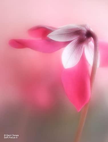 Lensbaby LensBaby - Fixed Body with Soft Focus II 50 Optics - for Sony E - Compatible with All Current and Older Lensbaby Optic Swap Lenses - Manually Adjustable Aperture