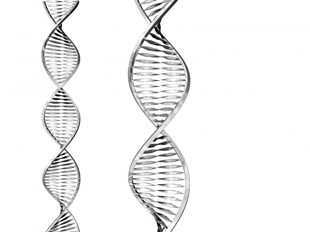 Focal Focal Sub Air Flat Bass Reflex Subwoofer w/ Integrated 150W BASH Amplifier