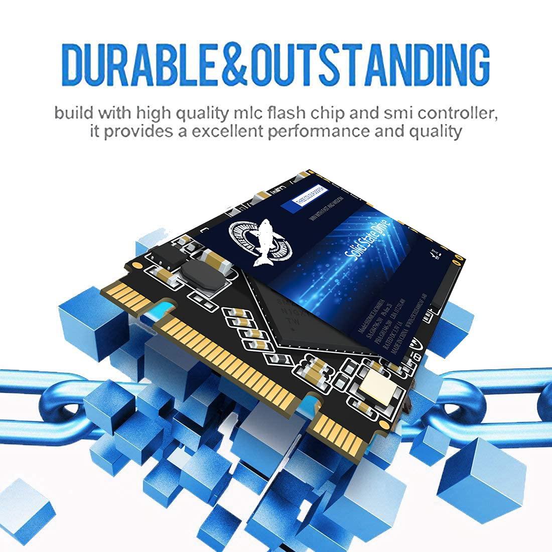 THREE COLOUR DOGFISH Dogfish M.2 2242 SSD 250GB 3D NAND TLC SATA III 6 Gb/s, Internal Solid State Drive - Compatible with Desktop PC Laptop (M.2 2242 250GB)