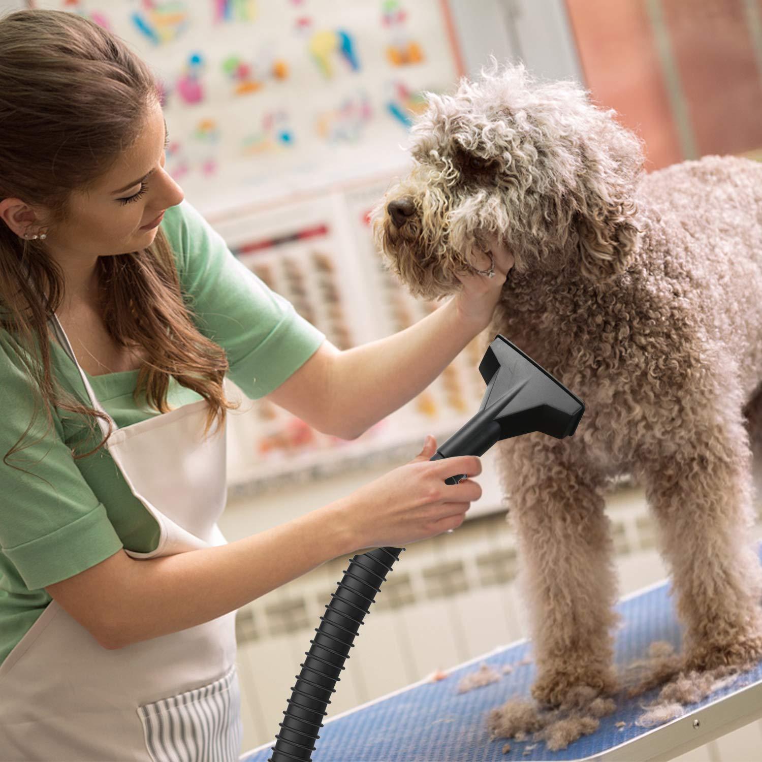 Stanley Stanley SL18129 Wet/Dry Vacuum, 4 Gallon, 4 Peak HP, Stainless Steel Tank with Top Handle, 3-in-1 Shop Vacuum Cleaner with Blower for Home, Garage, Car, Workshop, Pet Hair, Silver+Yellow+Black