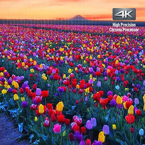 Panasonic Panasonic Streaming 4K Blu Ray Player, Ultra HD Premium Video Playback with Hi-Res Audio, Voice Assist - DP-UB420-K (Black)