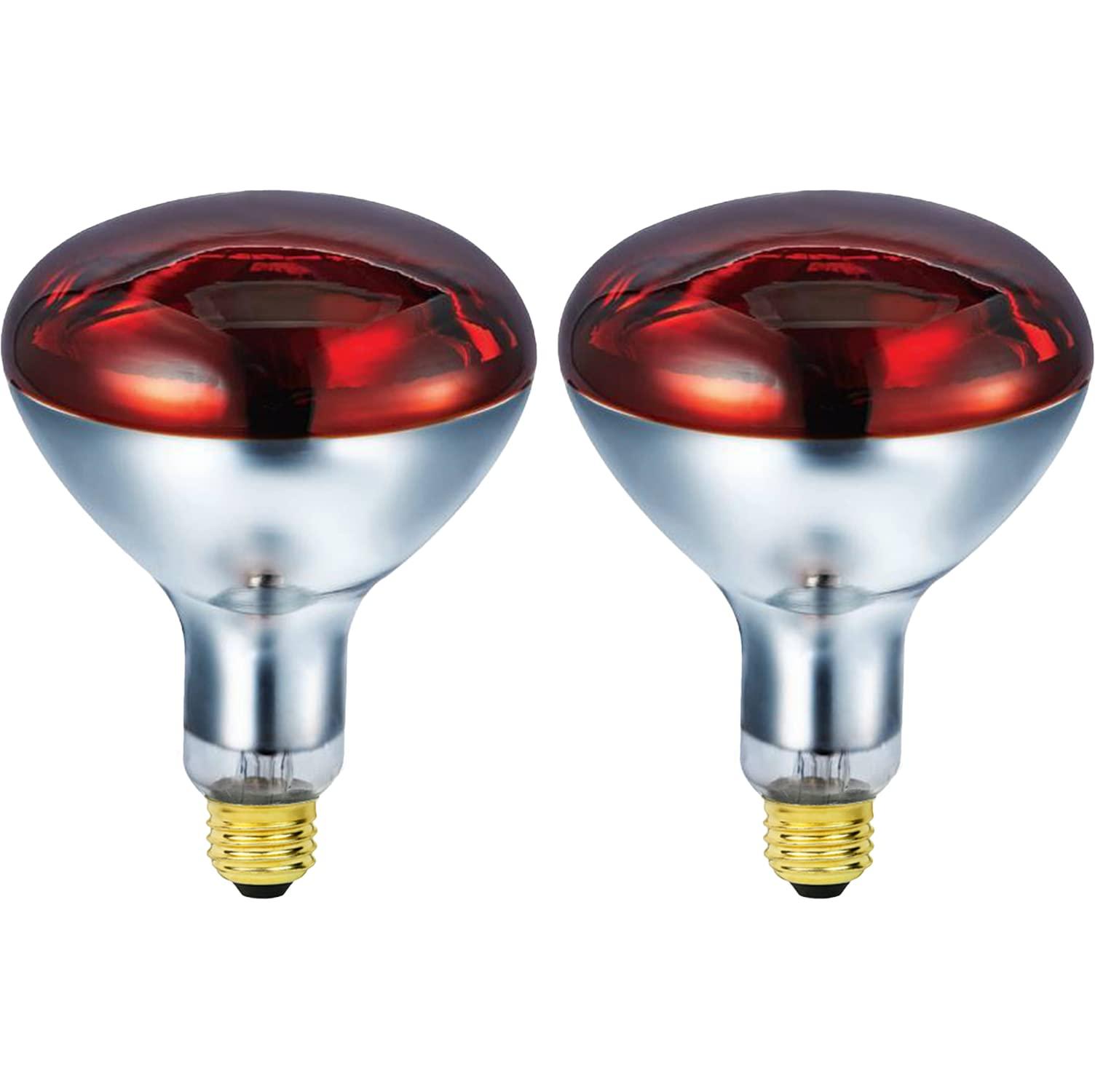 BULBMASTER BULBMASTER 250 Watts R40 Red Heat Lamps Outdoor Bulbs for Pets Flood Light Bulb for Chickens Infrared Reflector 250W R40 Incandescent Medium E26 Base 2 Pack
