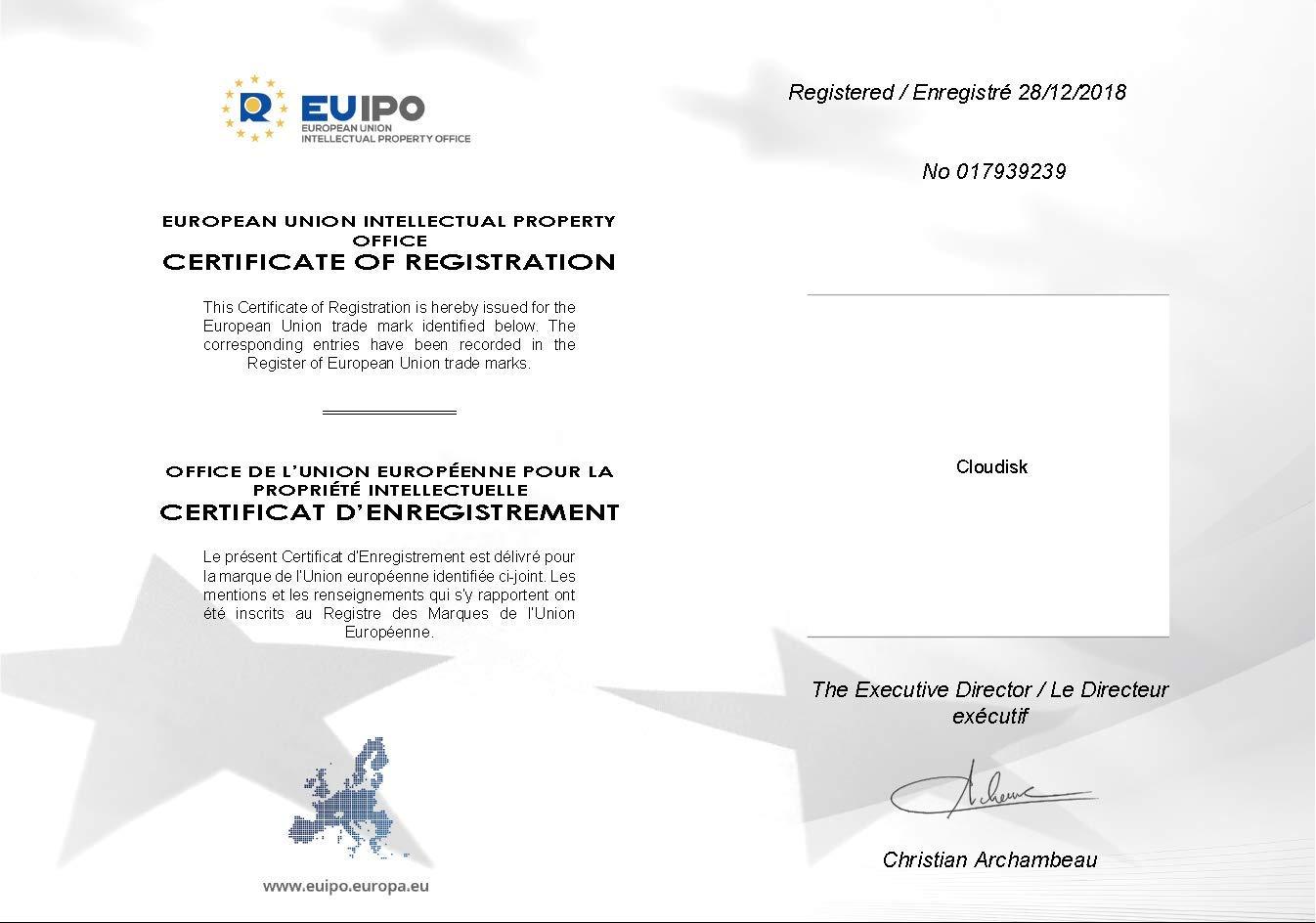 Cloudisk Micro SD Card 2GB Pack of 2 Flash Memory Card Class 6 with SD Adapter MicroSD TF Card (2 GB)