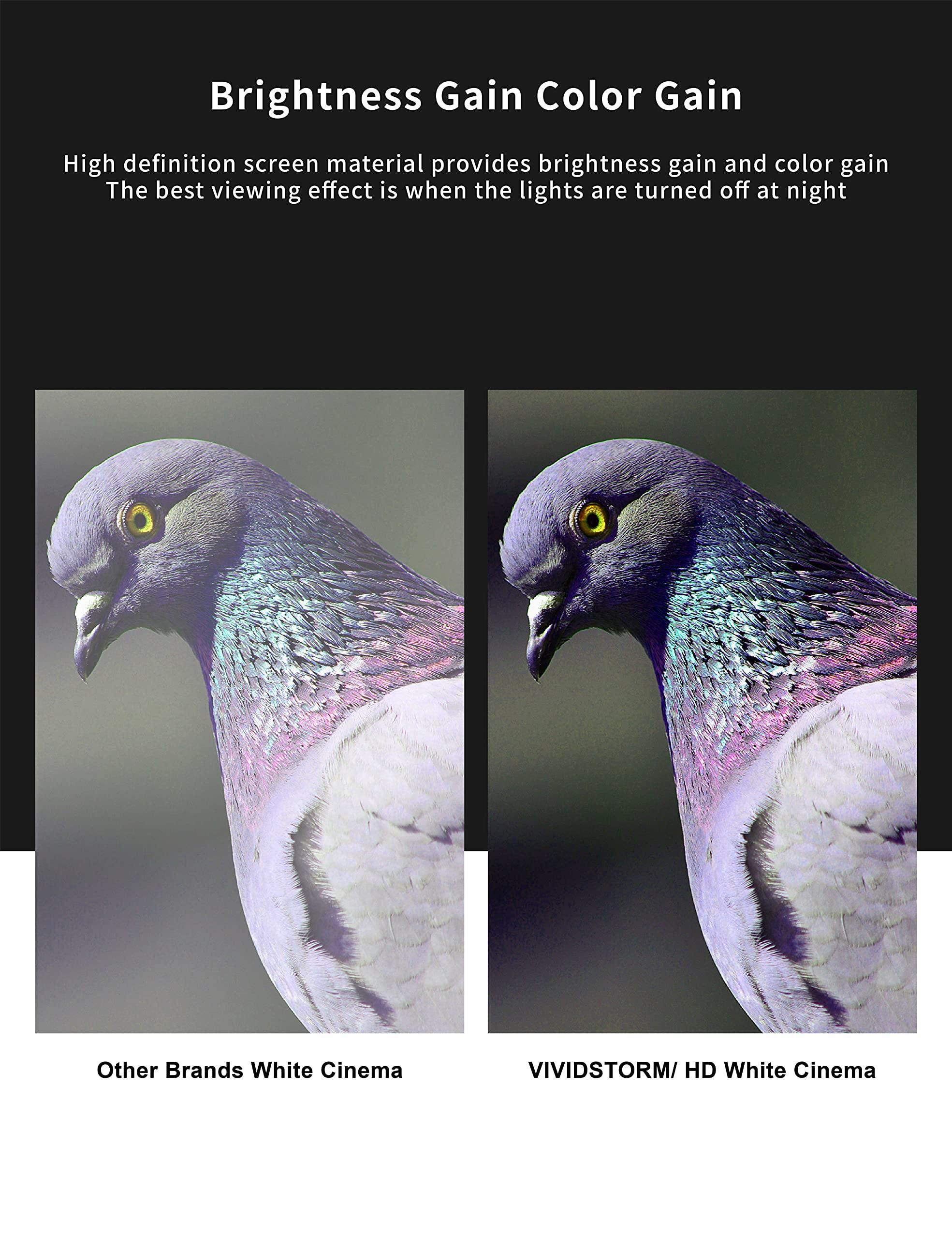 VIVID STORM SINCE 2004 VIVIDSTORM-Projector Screen,Slimline Electric Tab-tensioned Drop Down with All White Cinema Screen,Compatible with Normal Projector,VMSLWA84H