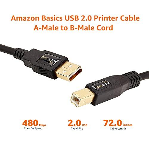 Amazon Basics Amazon Basics USB-A to USB-B 2.0 Cable with 480 Mbps Transfer Speed for Printer or External Hard Drive, Gold-Plated Connectors, 6 Foot, Black
