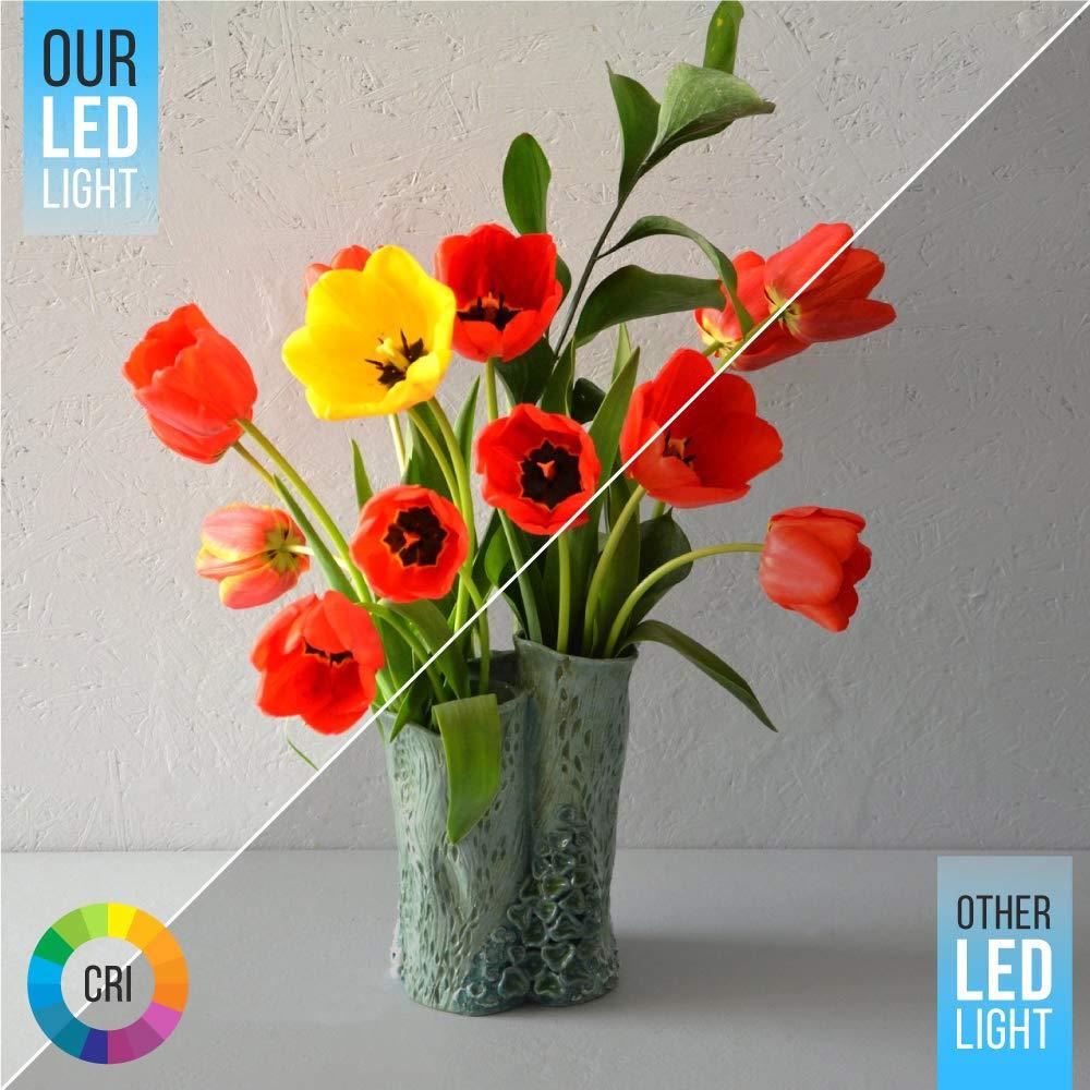 LEDMyplace.com LEDMyplace 5/6 inch 15W Round Dimmable Retrofit LED Recessed Downlight, Pack of 12, Replacement of 55W, 1100 Lumens, 3000K Warm White, Baffle Trim Can Lights, Ceiling Lighting for Home, Office