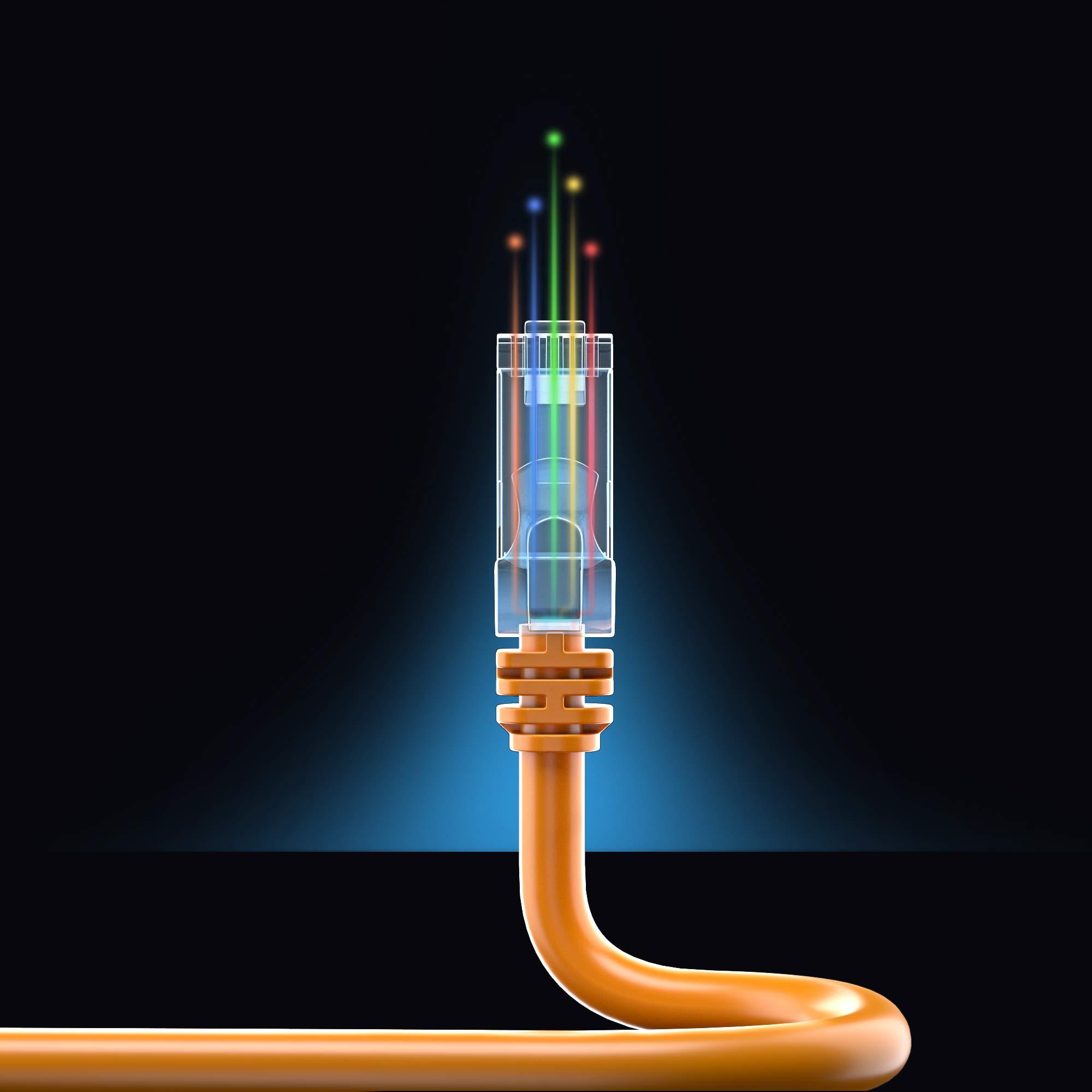 Maximm Maximm Ethernet Cable 100 ft CAT6 High Speed Internet Network LAN Cable Cord, Outdoor Waterproof (Orange)