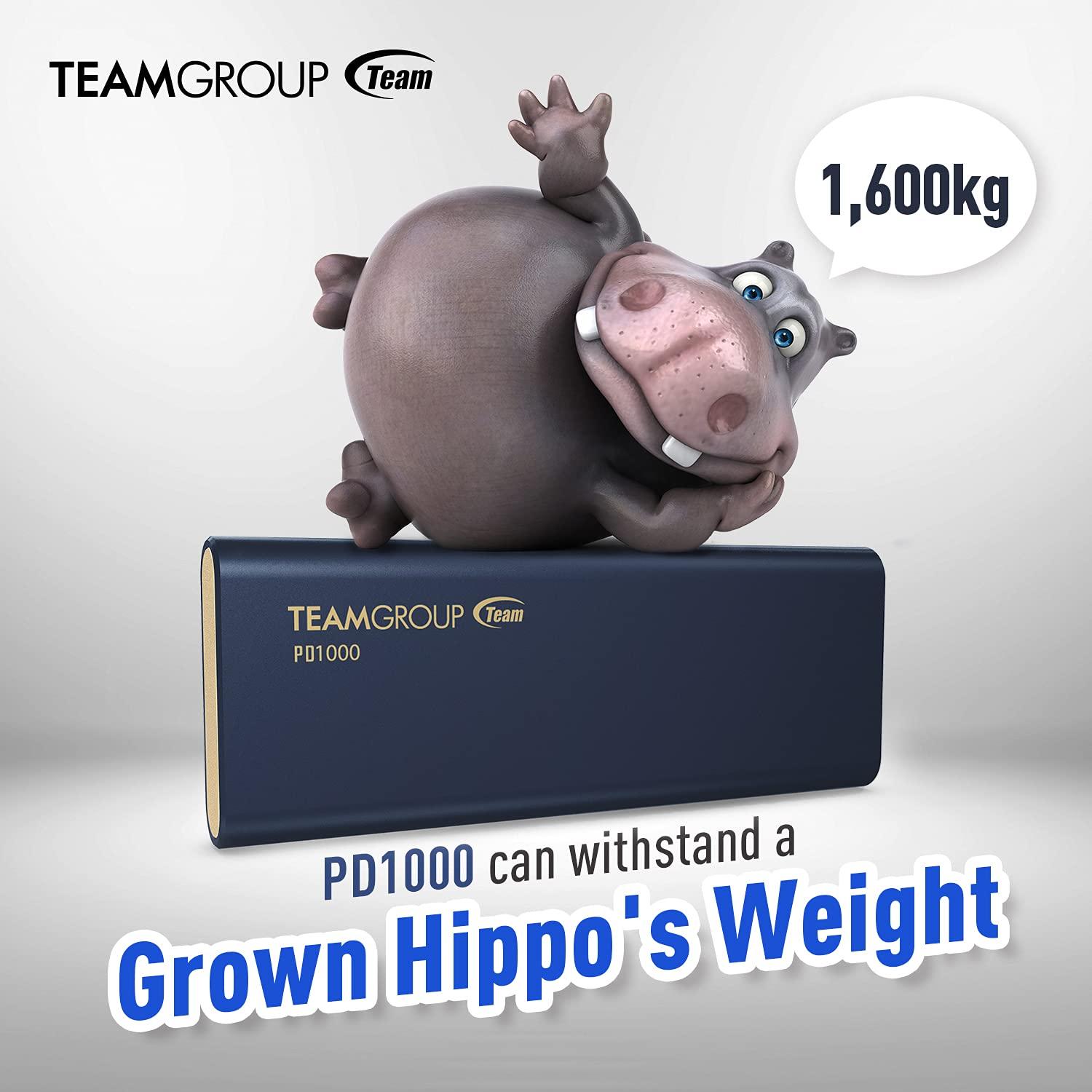 TEAMGROUP TEAMGROUP PD1000 512GB Aluminum Portable External Solid State Drive SSD, Read up to 1000MB/s, USB-C, USB A 3.2 Gen 2, Waterproof, Dustproof (IP68), Shockproof, Pressure Resistant (T8FED6512G0C108)