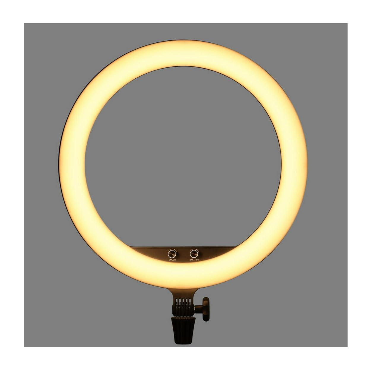 GODOX Godox LR150 18\'\' LED Ring Light (Bi-Color)
