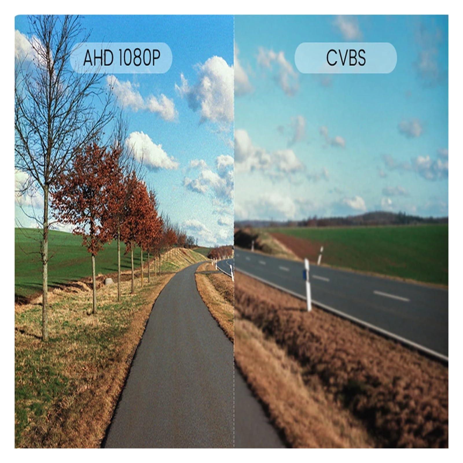 LLXINGYL LLXINGYL AHD 1080P Fisheye Car Reverse Backup Rear View Reversing Camera Compatible with BMW 1 Series 120i 640i F12 F13 Z4 E89 E81 E87 135i F20 F21(Color:AHD-Dynamic)