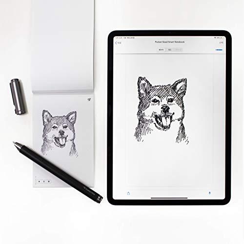 Livescribe Livescribe Aegir Smartpen, Black Professional Edition with Executive Notebook - Compatible with Windows, iOS or Android Devices Like Smartphones, Tablets and Computers