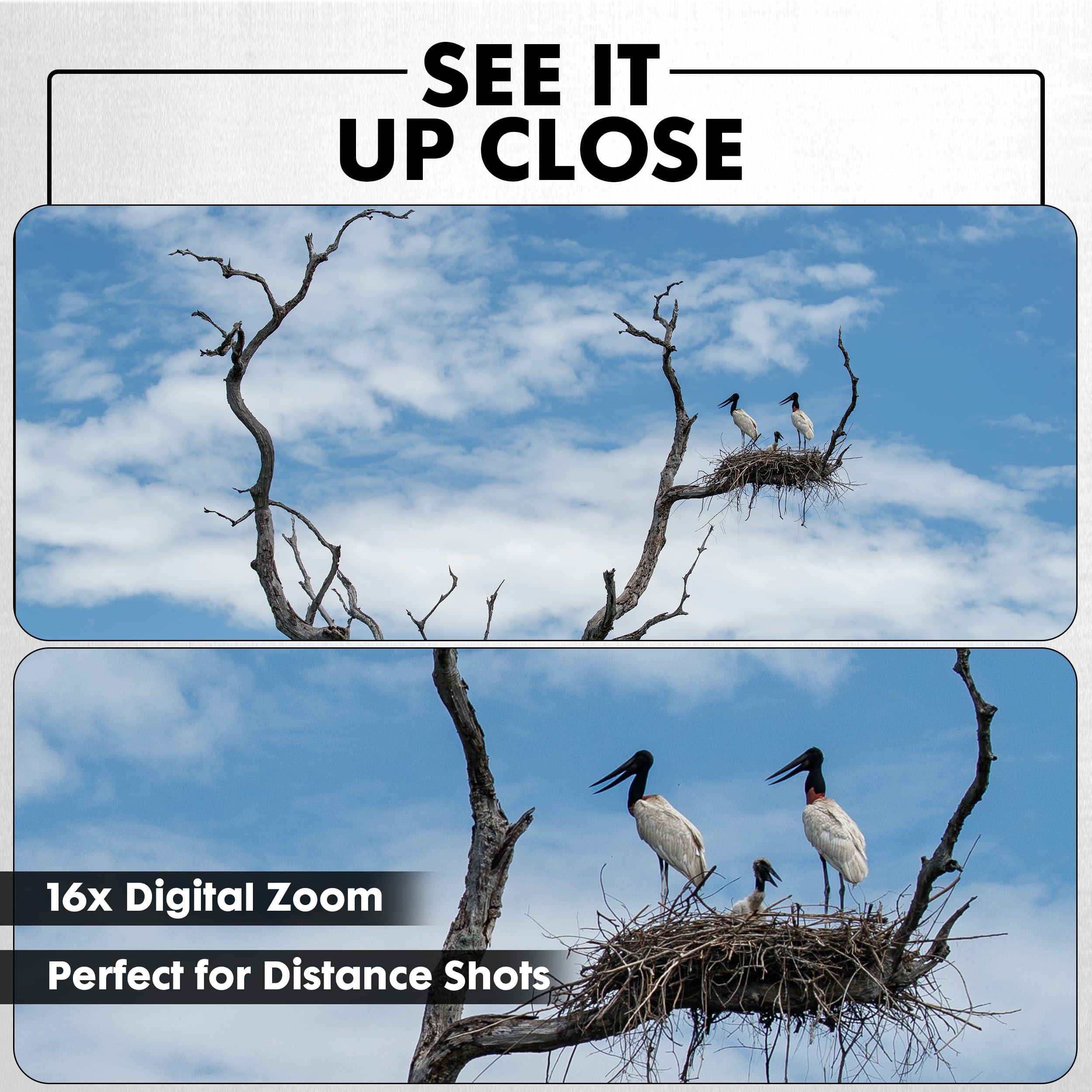 Minolta Minolta 64MP Digital Camera 4K Ultra HD Video at 60FPS, 16x Digital Zoom, WiFi, CMOS Sensor, 3-inch LCD Display, Auto Exposure - Includes 32GB Memory Card, Rechargeable Battery (Purple)