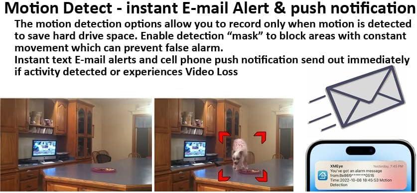 DirectNine Basics Sikker Standalone 32 Channel CCTV DVR with 8TB Hard Drive pre-Installed Support 5MP/1080P AHD/TVI/960H Analog Camera Home/Business Surveillance Security System Video Recorder 20+ Days Constant Record