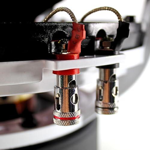 B2 Audio B2 Audio RIOT Series 12\" 750 Watt RMS Dual 2-Ohm 3\" Voice Coil Subwoofer