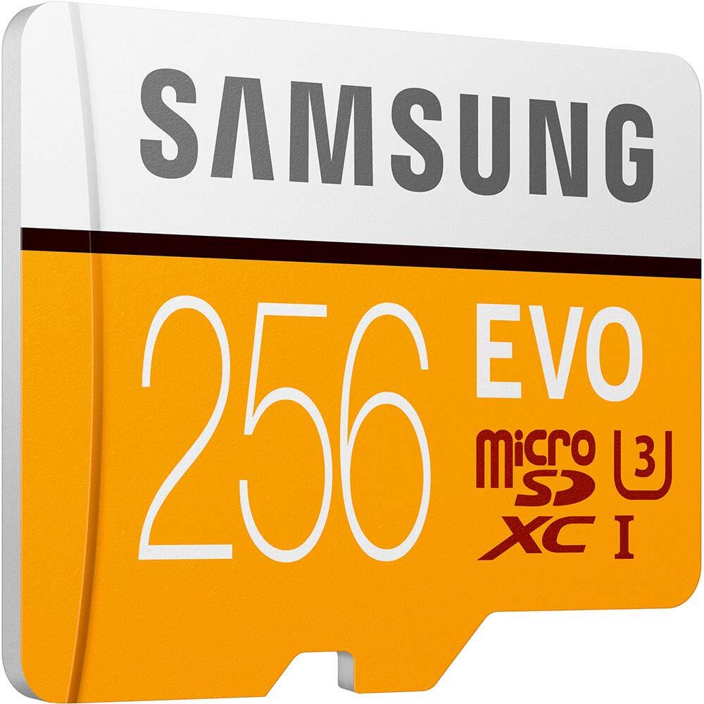 SAMSUNG Samsung 256GB EVO V5 NAND microSD MemoryCard