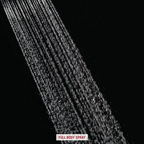 DELTA FAUCET Delta Faucet Dryden Single-Spray Touch-Clean Wall-Mount Slide Bar Hand Held Shower with Hose, Chrome 57051