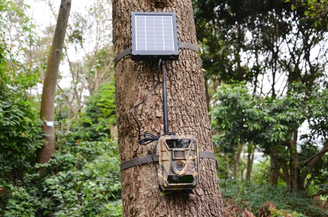 WingHome WingHome 6V Power Cable, Male to Male 5.5x2.1mm Plug