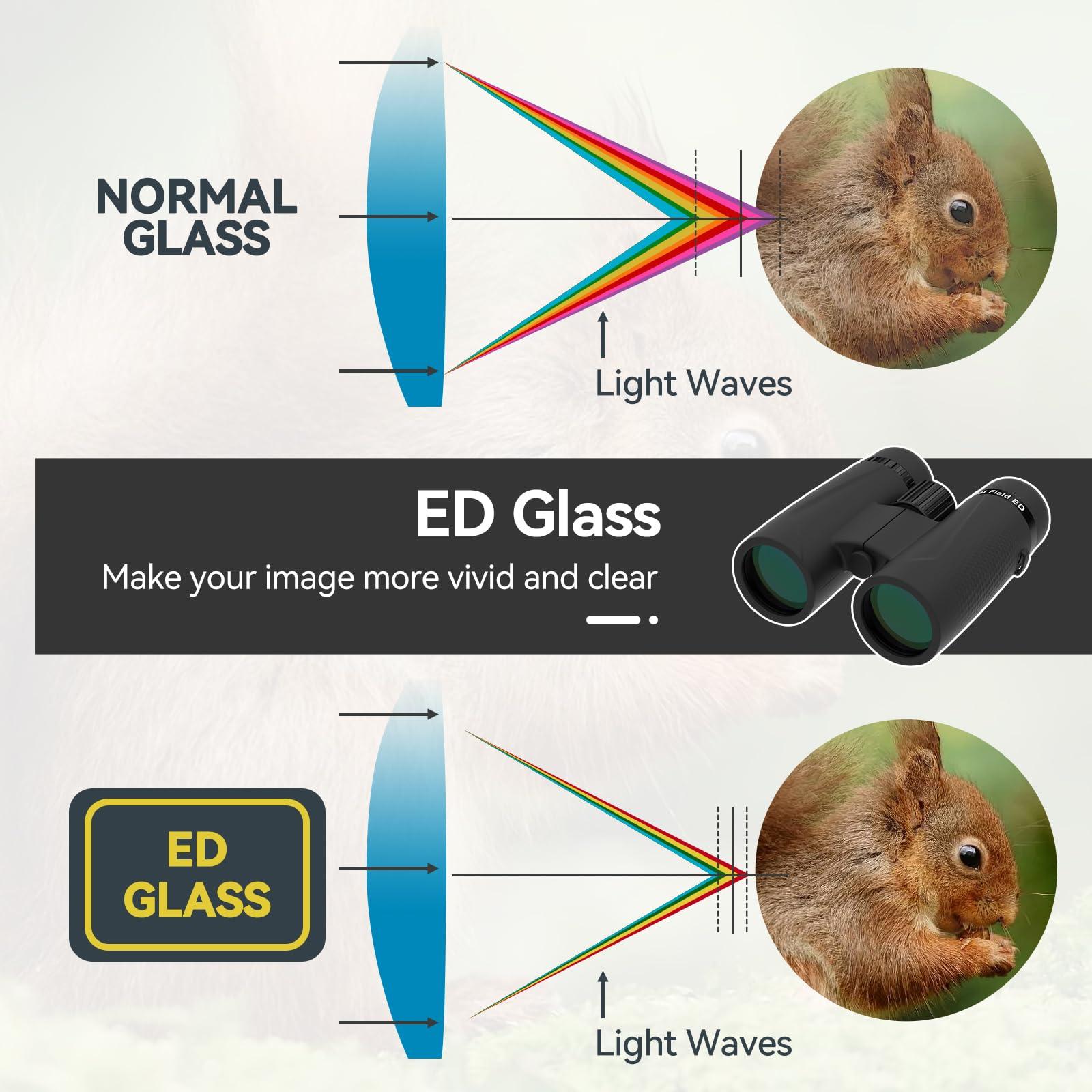 SVBONY SVBONY SA205 Binoculars for Adults, 10x42 Flat Field Binoculars, ED Glass Binoculars with Upgraded Phone Adapter, Waterproof Binoculars with Strap for Bird Watching