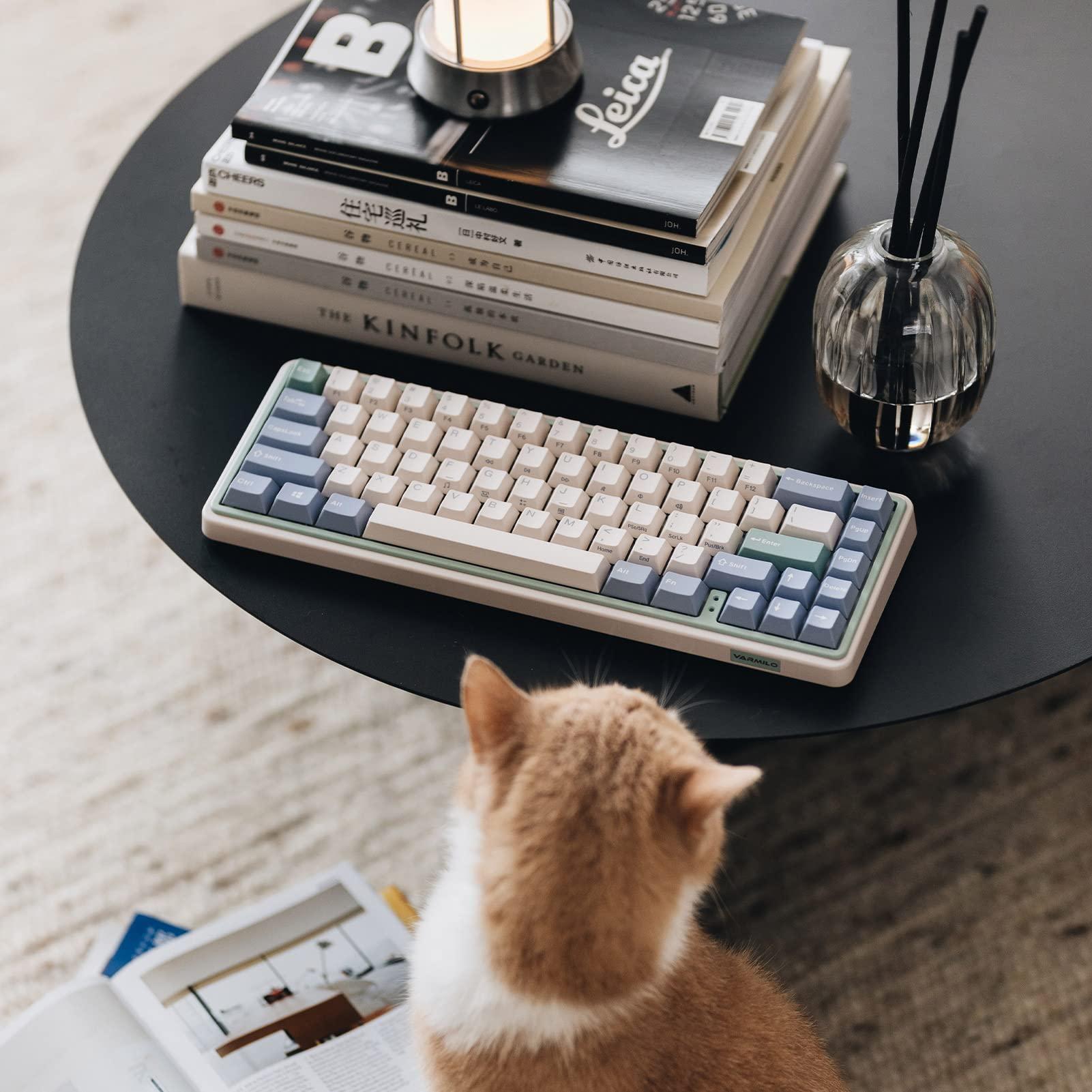 Varmilo Varmilo Minilo VXH67 Eucalyptus 65% Wired Hotswap White LED Mechanical Keyboard Cherry MX Silver