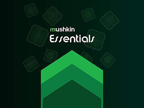 Mushkin Mushkin Essentials DDR4 Laptop DRAM 32GB (2x16GB) SODIMM Memory Kit 2666MHz (PC4-21300) CL-19 260-pin 1.2V Notebook RAM Dual-Channel Low-Voltage (MES4S266KF16GX2)