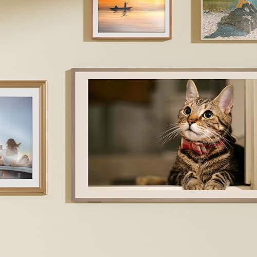 Hisense Hisense 65-Inch Class QLED 4K S7N CanvasTV Series Dolby Vision HDR Google Smart TV (65S7N, 2024 Model) - Art Mode, Anti-Glare Panel, Hi-Matte Display, Frame & UltraSlim Wall Mount Included, 144Hz