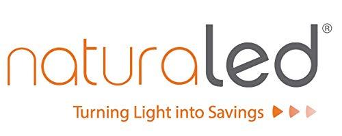 NATURALED NaturaLED LED Bulk Head Wall Light, 10 Watt, 900 Lumen, 3000 Kelvin, 120v, CRI >80, Black Finish, UL Wet Rated, Energy Star, 50000 Hour Life, MOQ 2, LED-FXBWL10/830/BK | Pack of 2