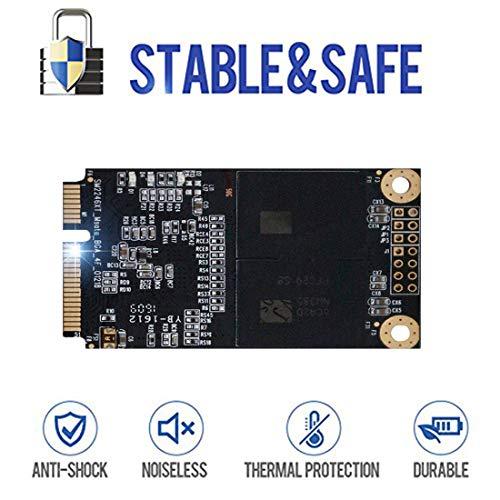 THREE COLOUR DOGFISH Dogfish SSD Msata 2TB Internal Solid State Drive Mini Sata Disk Drive High Performance Hard Drive for Desktop Laptop Notebook M sata (MSATA, 2TB)