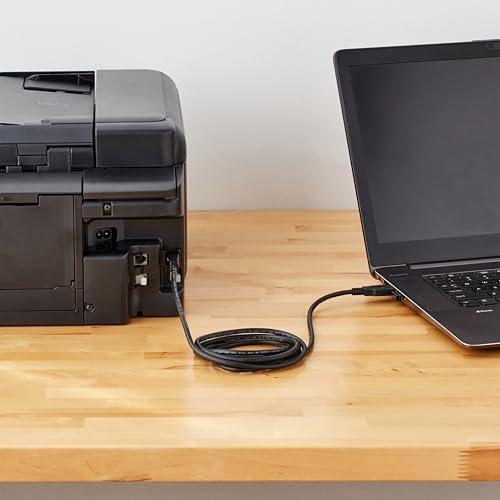 Amazon Basics Amazon Basics USB-A to USB-B 2.0 Cable with 480 Mbps Transfer Speed for Printer or External Hard Drive, Gold-Plated Connectors, 6 Foot, Black