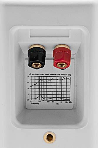 Earthquake Sound Earthquake Sound AWS-502W All-Weather Indoor/Outdoor Speakers (Matte White, Pair)