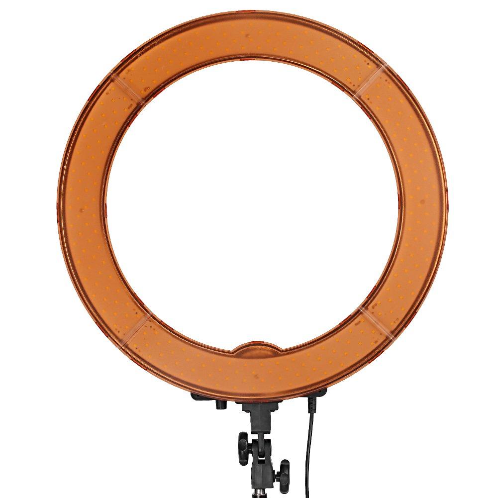 NEEWER Neewer 18 Inch Ring Light with Wall Mounting Boom Arm, 55W Dimmable 5500K Light with 240 LEDs Color Filter, Soft Tube and Carrying Bag for YouTube TikTok Selfies Video Photography