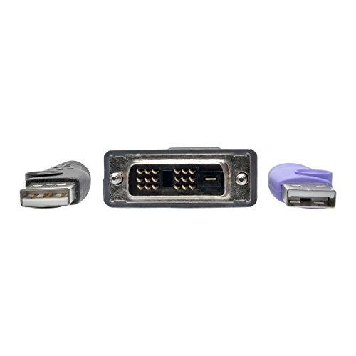 Tripp Lite Tripp Lite DVI USB Server Interface Unit w/Virtual Media & CAC Support for B064 KVM Switches (B055-001-UDV)