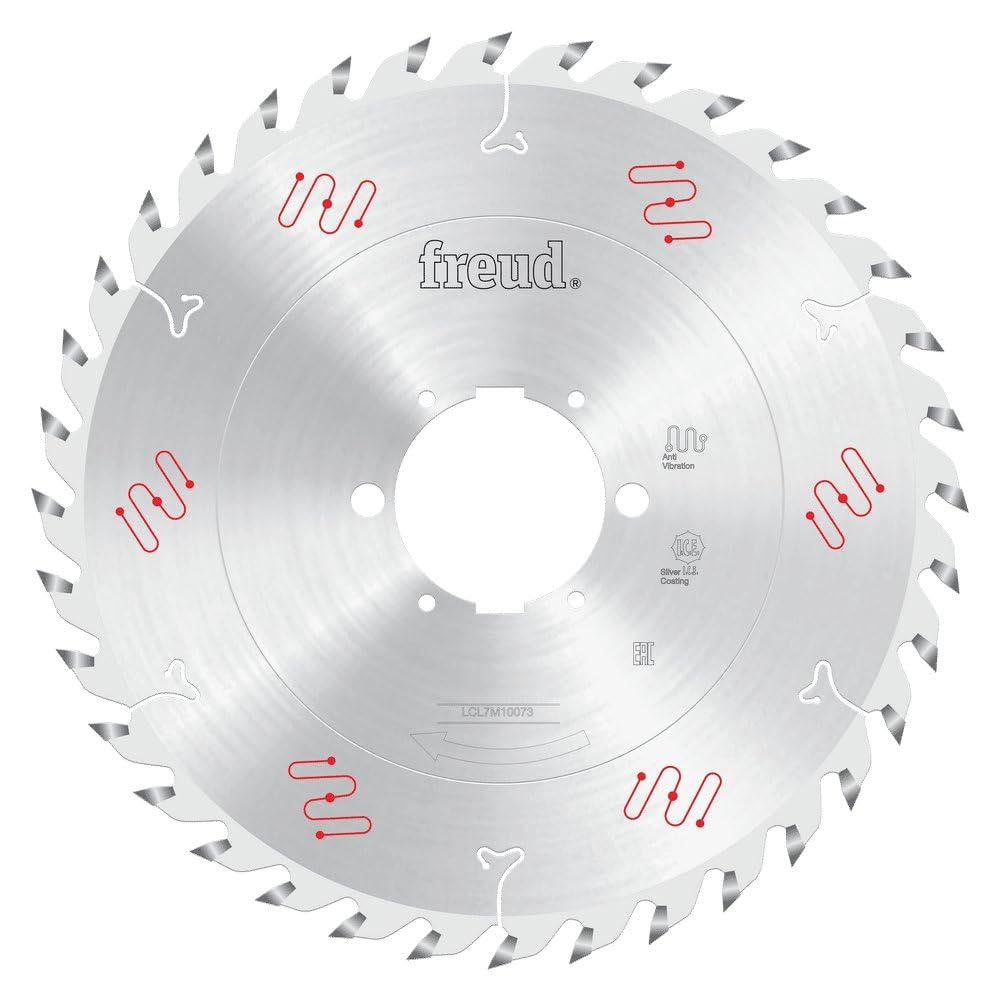 Freud 300X2.8X2.0X80 Z=36 MTCG RAIMAN