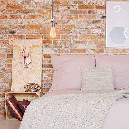 Globe Electric Globe Electric 31321 Vintage Designer Light Bulb, 3 Count (Pack of 1), Cool White