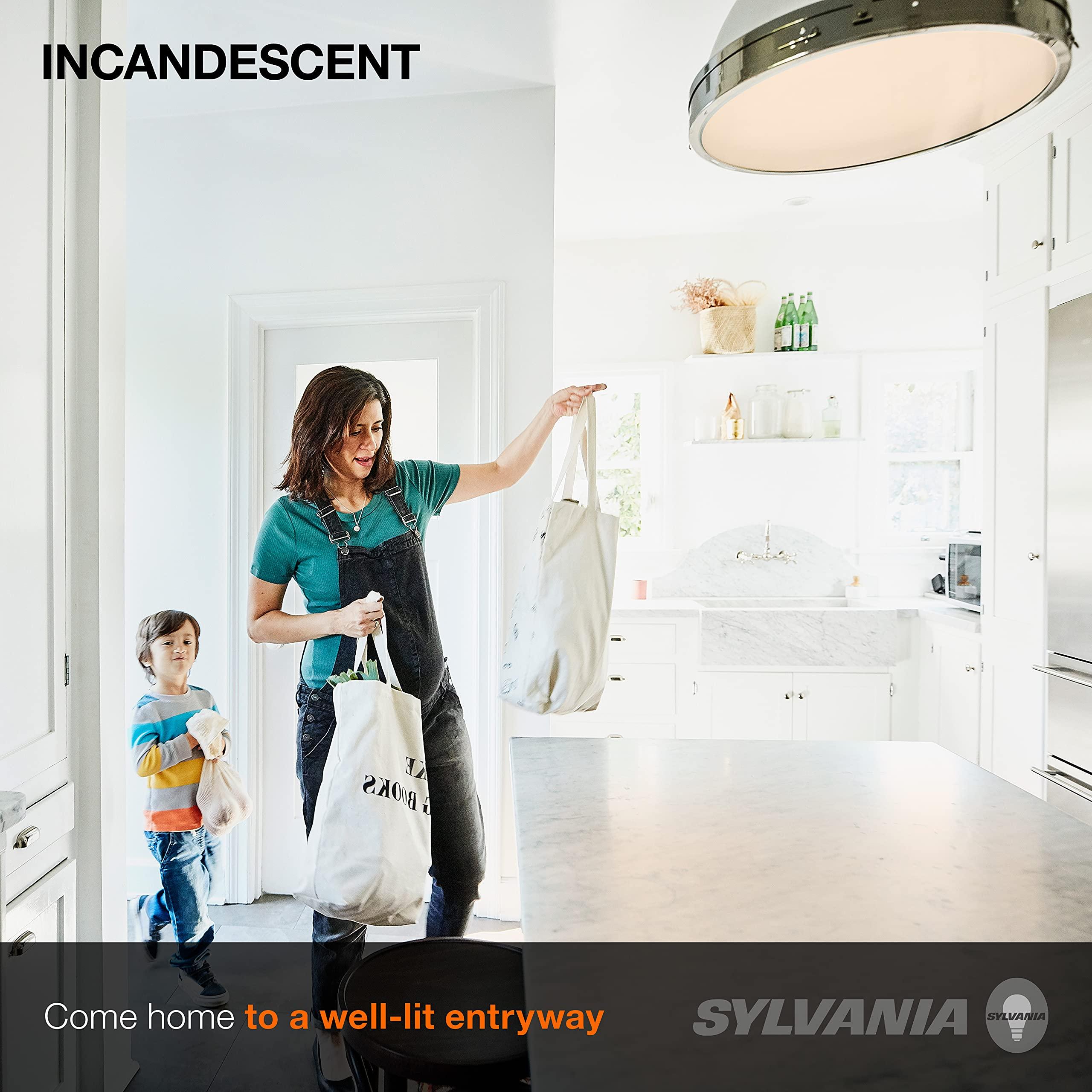 LEDVANCE SYLVANIA Incandescent Light Bulb, 25W A19, Dimmable, Medium Base, 160 Lumens, 2850K, Soft White - 2 Count(Pack of 1)(10562)