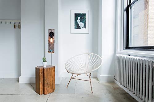 Globe Electric Globe Electric 31321 Vintage Designer Light Bulb, 3 Count (Pack of 1), Cool White