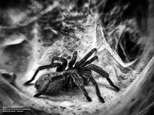 Lensbaby Lensbaby Macro Converters - 8mm Converter and 16mm Converter (LBMC)