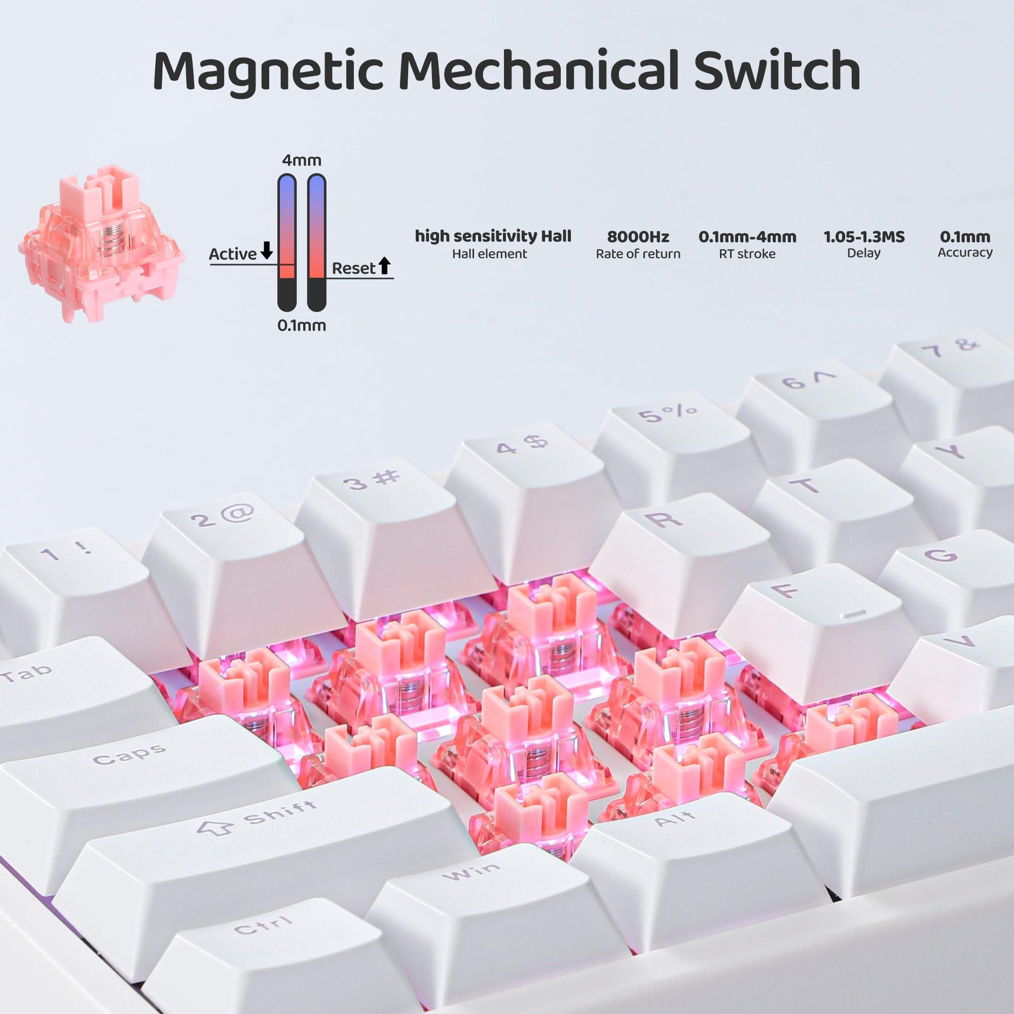 BOYI BOYI 66Pro Rapid Trigger Magnetic Switch 65% Mechanical Keyboard,Hall Effect Gasket-Mounted RGB HotSwap Hyper-Fast Adjustable Actuation Wired Compact Gaming Keyboard with Knob(White)