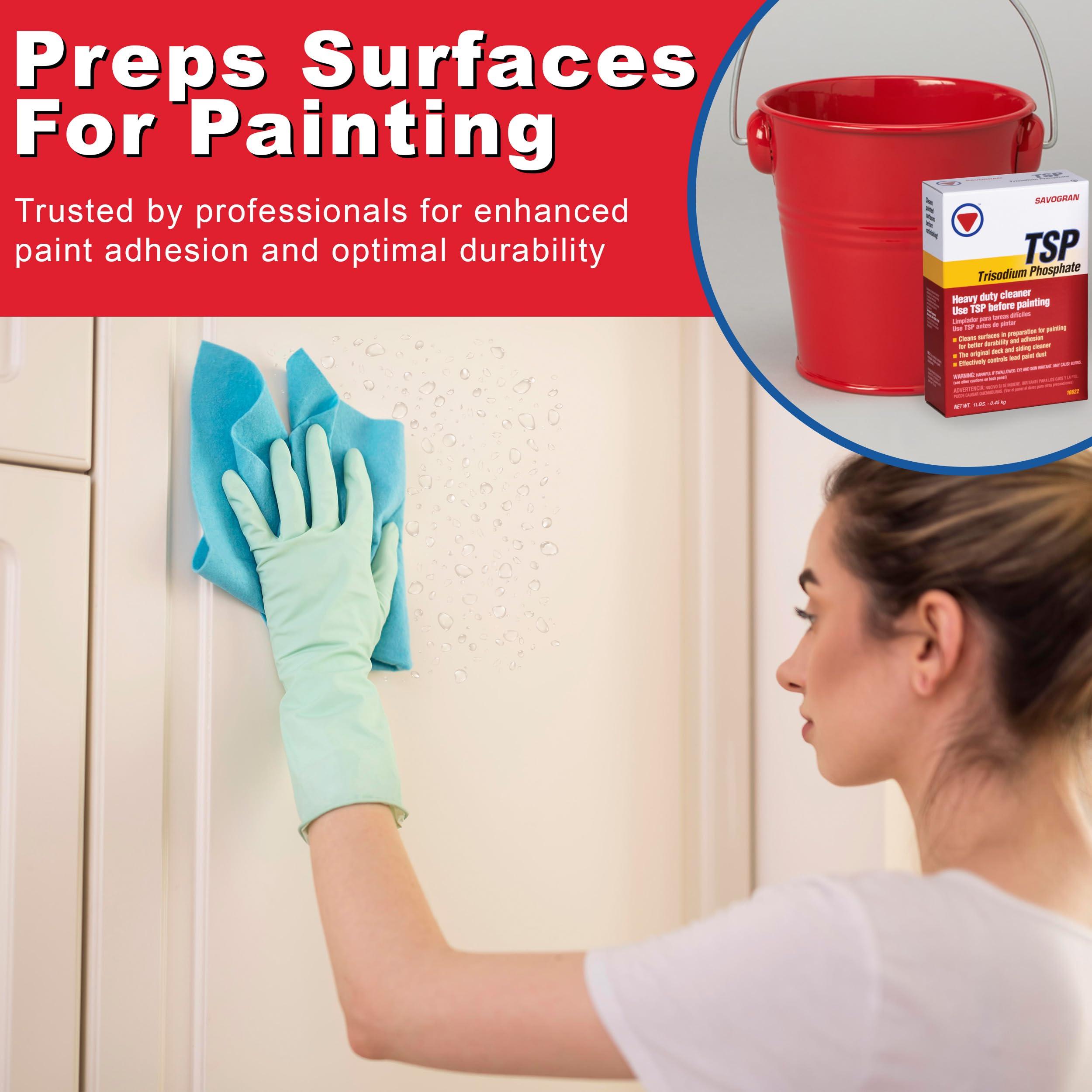 Savogran Savogran 10621 Trisodium Phosphate (TSP) 1LB (16oz)