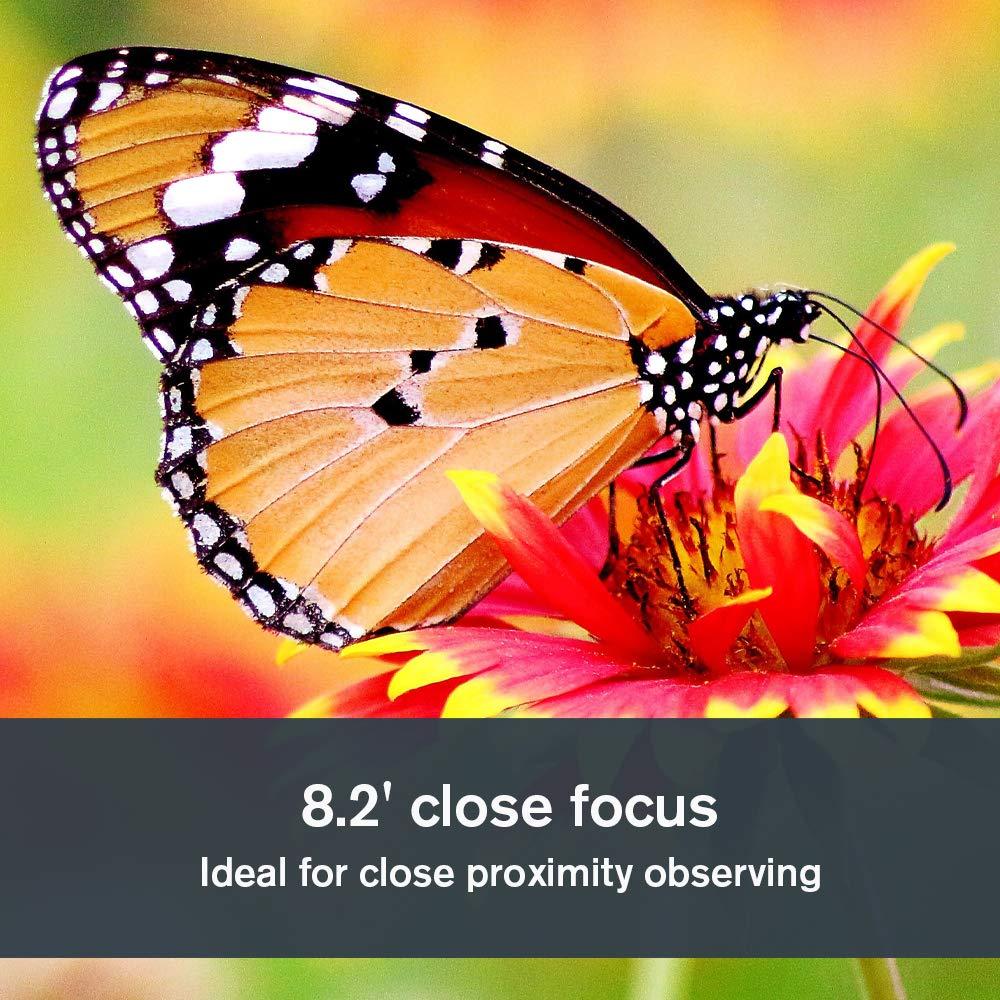 Celestron Celestron Outland X 20x50 Monocular Outdoor and Birding Monocular Fully Multi-Coated Optics and BaK-4 Prisms Bonus Smartphone Adapter, Bluetooth Remote & Tripod Included