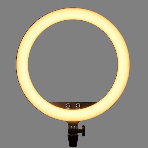 GODOX Godox LR150 18\'\' LED Ring Light (Bi-Color)