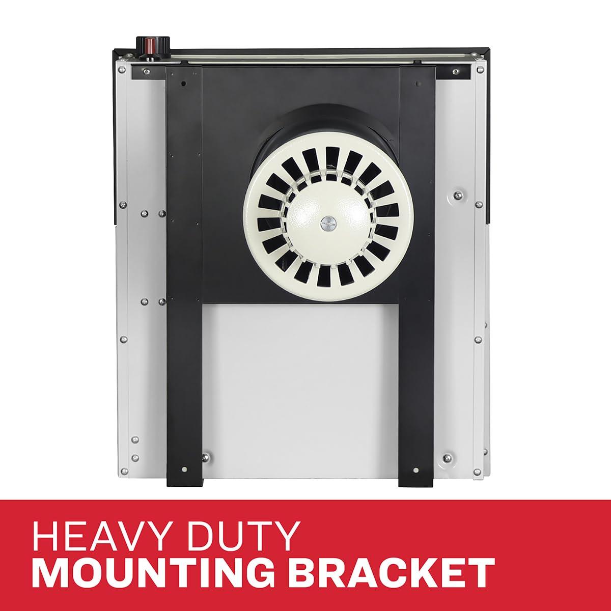 Ashley Hearth Ashley Wall Heater, Dual Fuel, 11k Direct Vent