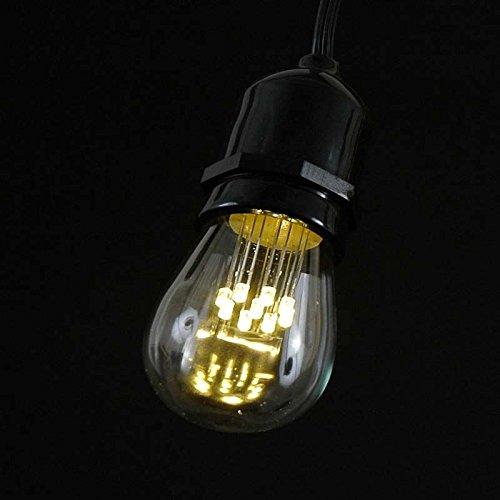 Novelty Lights 37.5 Foot S14 Edison Outdoor String Lights  Suspended - Commercial Grade - Backyard Garden Gazebo  Cafe Market String Lights  Vintage Patio String Lights  Black Wire - 25 S14 LED Bulbs