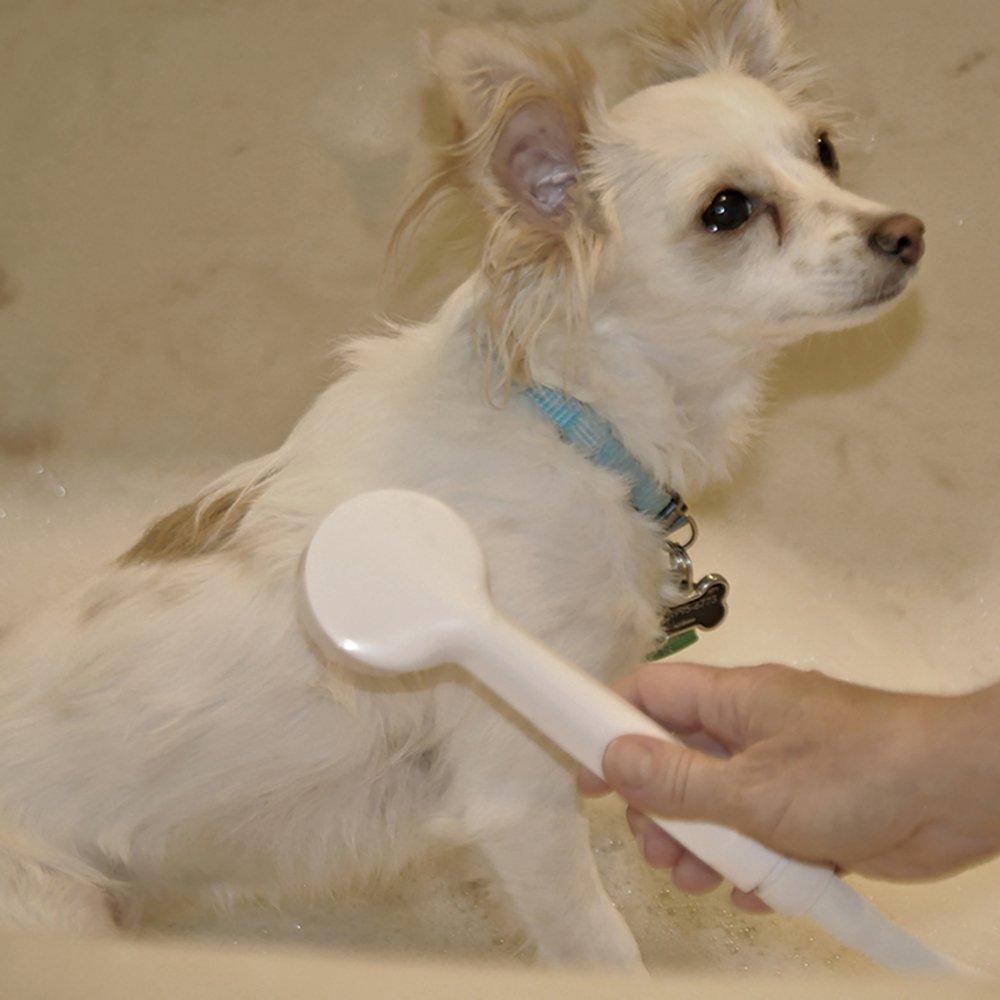 Danco Danco 10086 VersaSpray Portable Hand Held Shower Head Sprayer Fits Bathtubs without Diverter, (Pack of 1), White